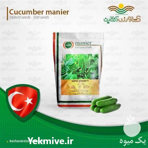 فروش بذر خیار پرگل سوپر گیرداپ در تهران در گروه خرید فروش بذر - انواع محصول کشاورزی گوجه کتان میوه درخت در یکمیوه -عکس1