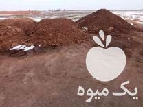 فروش کود حیوانی در بوئین زهرا در گروه خرید فروش کود و مواد شیمیایی - اوره پتاس مرغی کمپوست آهن در یکمیوه -عکس1