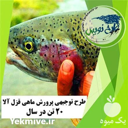 قیمت خرید طرح توجیهی پرورش ماهی قزل آلا 20 تن در سال در کرج در گروه انواع ماهی - سالمون شیر کپور قرمز شوریده سفید گوپی مرکب در یکمیوه -عکس1