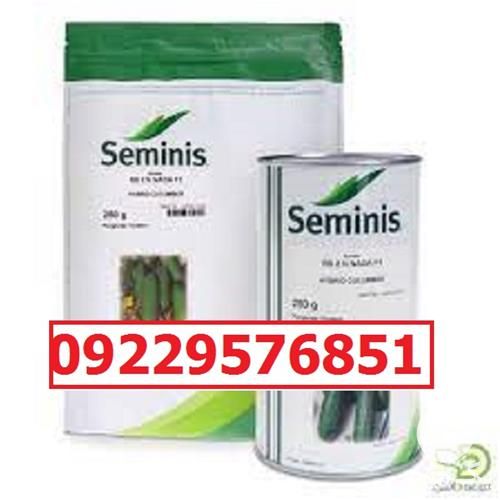 بذر خیار n 2 پرفروش اصل در خوزستان در گروه خرید فروش بذر - انواع محصول کشاورزی گوجه کتان میوه درخت در یکمیوه -عکس1