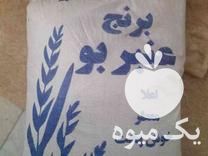 قیمت خرید برنج عنبر بو و اجیل عید در اردکان در گروه خرید فروش عمده برنج - نیم دانه عنبر بو هاشمی کاظمی هندی پاکستانی در یکمیوه -عکس1