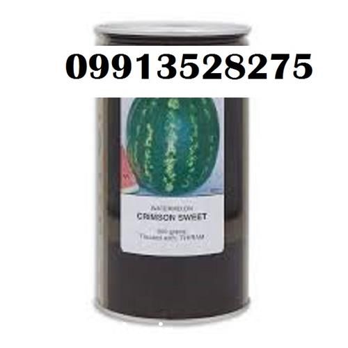 فروش بذر هندوانه کانیون باردهی عالی در بوشهر در گروه خرید فروش بذر - انواع محصول کشاورزی گوجه کتان میوه درخت در یکمیوه -عکس1