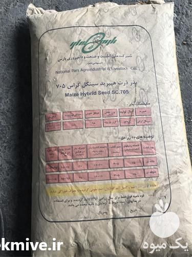 فروش قیمت مناسب بذر ذرت در اردبیل در گروه خرید فروش بذر - انواع محصول کشاورزی گوجه کتان میوه درخت در یکمیوه -عکس1