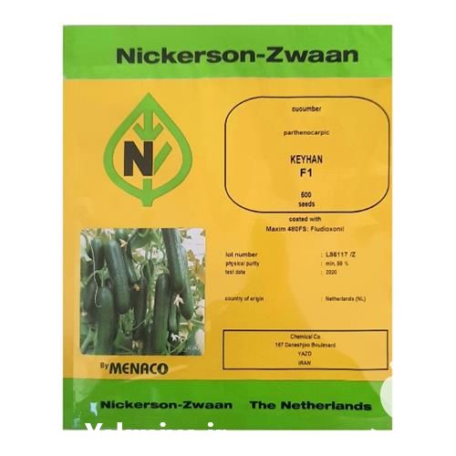 فروش خیار درختی کیهان بذر خیار کیهان در کرمانشاه در گروه خرید فروش بذر - انواع محصول کشاورزی گوجه کتان میوه درخت در یکمیوه -عکس1