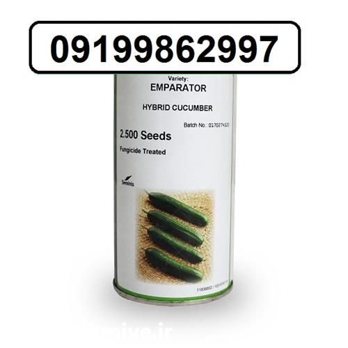 فروش بذر خیار امپراطور در گروه خرید فروش بذر - انواع محصول کشاورزی گوجه کتان میوه درخت در یکمیوه -عکس1