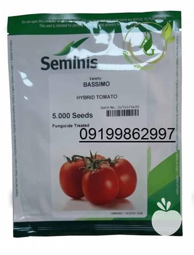 فروش انواع بذر گوجه با قیمت مناسب در گروه خرید فروش بذر - انواع محصول کشاورزی گوجه کتان میوه درخت در یکمیوه -عکس1