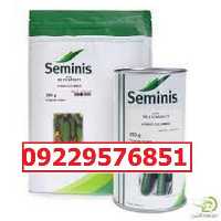 بذر خیار n 2 پرفروش اصل در خوزستان در گروه خرید فروش بذر - انواع محصول کشاورزی گوجه کتان میوه درخت در یکمیوه