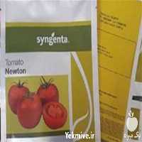 قیمت خرید توزیع بذر گوجه گلخانه ای نیوتون در بوشهر در گروه خرید فروش بذر - انواع محصول کشاورزی گوجه کتان میوه درخت در یکمیوه