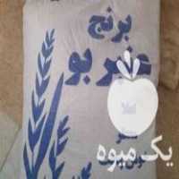قیمت خرید برنج عنبر بو و اجیل عید در اردکان در گروه خرید فروش عمده برنج - نیم دانه عنبر بو هاشمی کاظمی هندی پاکستانی در یکمیوه