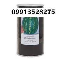 فروش بذر هندوانه کانیون باردهی عالی در بوشهر در گروه خرید فروش بذر - انواع محصول کشاورزی گوجه کتان میوه درخت در یکمیوه