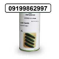 فروش بذر خیار امپراطور در گروه خرید فروش بذر - انواع محصول کشاورزی گوجه کتان میوه درخت در یکمیوه