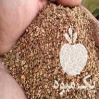 قیمت خرید خاک اره پوست گردو در گروه خرید فروش عمده چوب و زغال- زغال چوب گردو تبریزی خام در یکمیوه