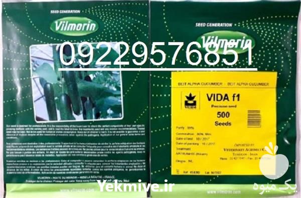 قیمت خرید بذر خیار پربار ویدا در هرمز در گروه خرید فروش بذر - انواع محصول کشاورزی گوجه کتان میوه درخت در یکمیوه -عکس1