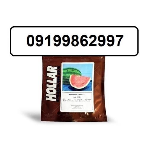 فروش ویژه بذر هندوانه هولار با ارسال بار سراسری در اصفهان در گروه خرید فروش بذر - انواع محصول کشاورزی گوجه کتان میوه درخت در یکمیوه -عکس1