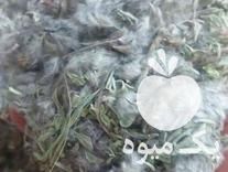 قیمت خرید گیاهان دارویی درجه یک در قزوین در گروه خرید فروش عمده گیاهان دارویی - معطر خشک خواص دار در یکمیوه -عکس1