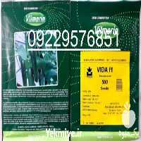 قیمت خرید بذر خیار پربار ویدا در هرمز در گروه خرید فروش بذر - انواع محصول کشاورزی گوجه کتان میوه درخت در یکمیوه