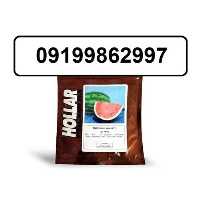 فروش ویژه بذر هندوانه هولار با ارسال بار سراسری در اصفهان در گروه خرید فروش بذر - انواع محصول کشاورزی گوجه کتان میوه درخت در یکمیوه