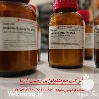 قیمت خرید دنیای هورمون ریشه زای در مشهد در گروه خرید و فروش انواع کود کشاورزی در یکمیوه