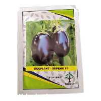 قیمت خرید بذر بادمجان کلش در گروه خرید فروش بذر - انواع محصول کشاورزی گوجه کتان میوه درخت در یکمیوه