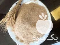 فروش هسته تفاله خرما در گروه خرید فروش عمده خرما - کبکاب تازه زاهدی خشک خارک در یکمیوه -عکس1