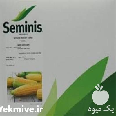 فروش پخش و عرضه بذر ذرت مسنجر در گروه خرید فروش بذر - انواع محصول کشاورزی گوجه کتان میوه درخت در یکمیوه -عکس1