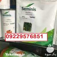 قیمت خرید بذر خیار رویال اصل با قیمت پایین در کرمان  در گروه خرید فروش بذر - انواع محصول کشاورزی گوجه کتان میوه درخت در یکمیوه