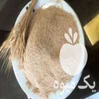 فروش هسته تفاله خرما در گروه خرید فروش عمده خرما - کبکاب تازه زاهدی خشک خارک در یکمیوه