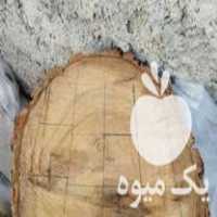 فروش چوب زردآلو خشک در بجنورد در گروه خرید فروش عمده چوب و زغال- زغال چوب گردو تبریزی خام در یکمیوه