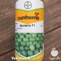 بذر هندوانه مونتانا پر فروش اصل هیبرید در گروه خرید فروش عمده هندوانه - صادراتی گرد بیضی زرد قرمز در یکمیوه