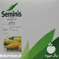 فروش پخش و عرضه بذر ذرت مسنجر در گروه خرید فروش بذر - انواع محصول کشاورزی گوجه کتان میوه درخت در یکمیوه