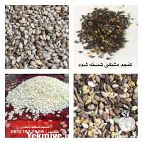 قیمت خرید مستقيم انواع كنجد شسته شده ارس دانه در تهران در گروه خرید فروش عمده دانه های روغنی - کلزا خردل آفتابگردان بادام کنجد سویا در یکمیوه