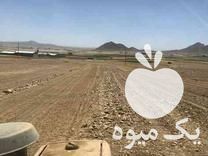 قیمت خرید دستگاه سنگ جمع کن و تراکتور در گروه خرید فروش ماشین آلات کشاورزی - تراکتور تیلر کمباین مدرن در یکمیوه -عکس1