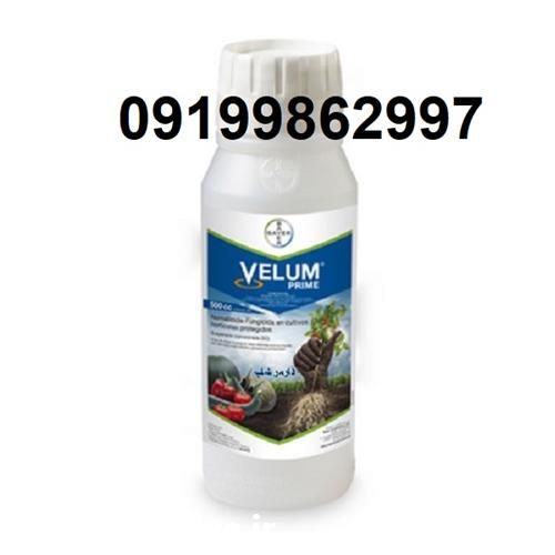قیمت خرید سم نماتد کش ولوم در هرمز در گروه خرید فروش کود و مواد شیمیایی - اوره پتاس مرغی کمپوست آهن در یکمیوه -عکس1