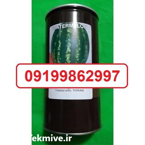 فروش بذر هندوانه کانیون در همدان در گروه خرید فروش بذر - انواع محصول کشاورزی گوجه کتان میوه درخت در یکمیوه -عکس1