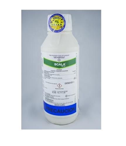 قیمت خرید سم قارچ کش Scala در هرمز در گروه خرید فروش کود و مواد شیمیایی - اوره پتاس مرغی کمپوست آهن در یکمیوه -عکس1