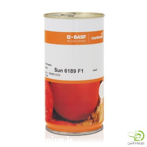 فروش عرضه بذر گوجه فرنگی سانسید 6189 در اصفهان در گروه خرید فروش بذر - انواع محصول کشاورزی گوجه کتان میوه درخت در یکمیوه -عکس1