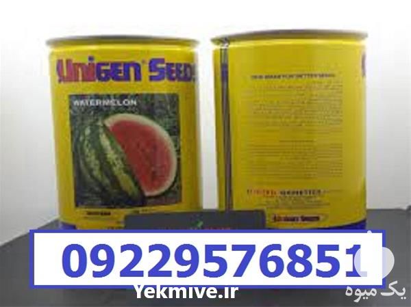 قیمت خرید بذر هندوانه یونی ژن سیاه اصل در گروه خرید فروش بذر - انواع محصول کشاورزی گوجه کتان میوه درخت در یکمیوه -عکس1