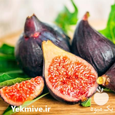 خرید و قیمت نهال انجیر در بوشهر در گروه خرید فروش نهال - انواع گردو پسته بادام سلطانی انگور در یکمیوه -عکس1