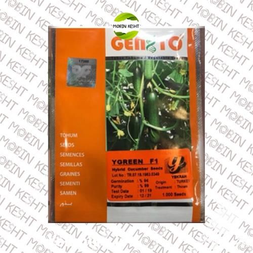فروش بذر خیار گلخانه ای وای گرین در تهران در گروه خرید فروش بذر - انواع محصول کشاورزی گوجه کتان میوه درخت در یکمیوه -عکس1