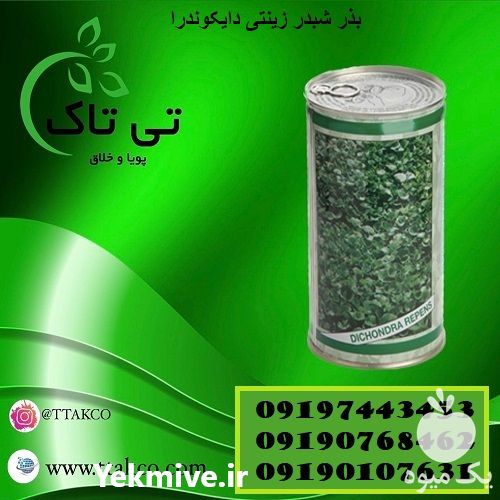 قیمت خرید بذر چمن دایکوندرا بذر زینتی و رونده در اصفهان در گروه خرید فروش بذر - انواع محصول کشاورزی گوجه کتان میوه درخت در یکمیوه -عکس1