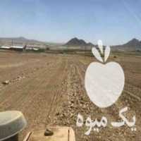 قیمت خرید دستگاه سنگ جمع کن و تراکتور در گروه خرید فروش ماشین آلات کشاورزی - تراکتور تیلر کمباین مدرن در یکمیوه