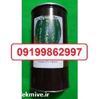 فروش بذر هندوانه کانیون در همدان در گروه خرید فروش بذر - انواع محصول کشاورزی گوجه کتان میوه درخت در یکمیوه