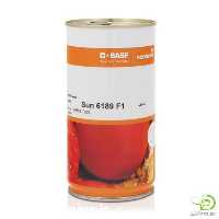 فروش عرضه بذر گوجه فرنگی سانسید 6189 در اصفهان در گروه خرید فروش بذر - انواع محصول کشاورزی گوجه کتان میوه درخت در یکمیوه