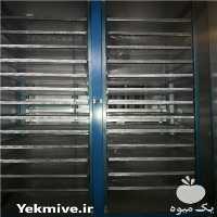 قیمت خرید خشک کن زنجبیل در گروه خشک کن - میوه سبزی صنعتی خدمات دستگاه در یکمیوه