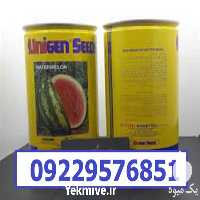 قیمت خرید بذر هندوانه یونی ژن سیاه اصل در گروه خرید فروش بذر - انواع محصول کشاورزی گوجه کتان میوه درخت در یکمیوه