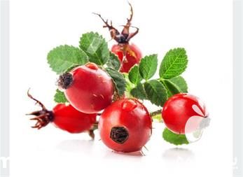 فروش نهال زرشک پفکی در تهران در گروه خرید فروش نهال - انواع گردو پسته بادام سلطانی انگور در یکمیوه -عکس1