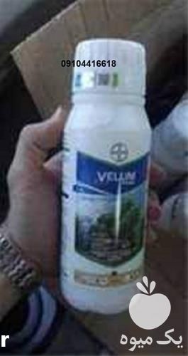 فروش سم قارچکش ولوم برای قارچکشی خیار در گروه خرید فروش کود و مواد شیمیایی - اوره پتاس مرغی کمپوست آهن در یکمیوه -عکس1