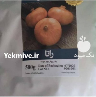 بذر پیاز زرد راتا در گروه خرید فروش عمده پیاز - قرمز سفید زرد ترشی تازه انباری در یکمیوه -عکس1