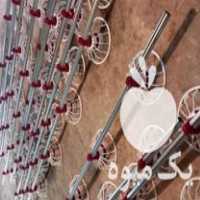 فروش لوازم مرغداری در گروه تجهیزات دام و طیور - خرید فروش نو دسته دوم در یکمیوه