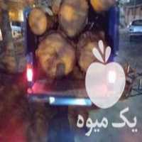 خرید درخت و چوب سقفی در گروه خرید فروش عمده چوب و زغال- زغال چوب گردو تبریزی خام در یکمیوه